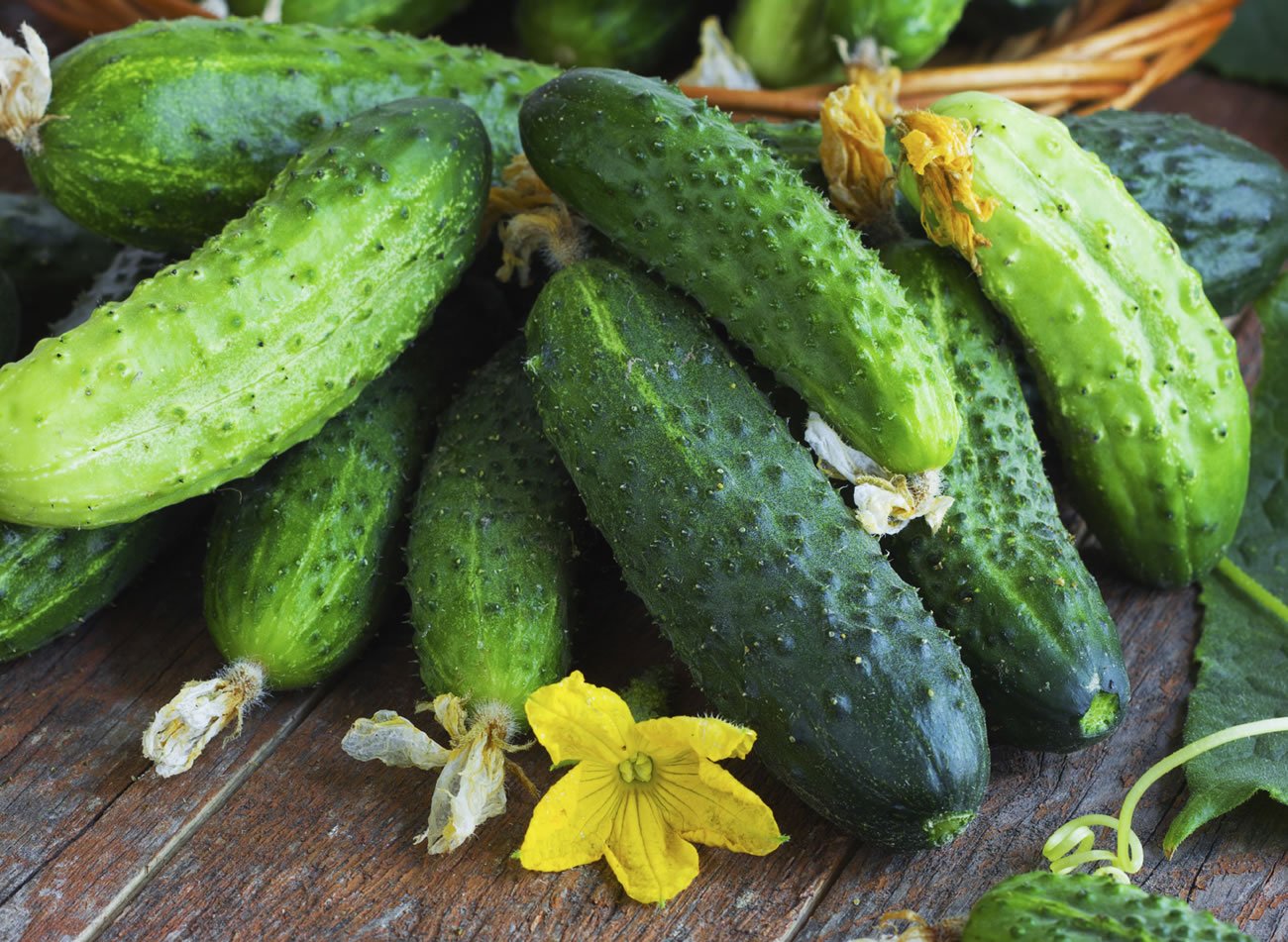 Brother please! Unplug the broken cucumber