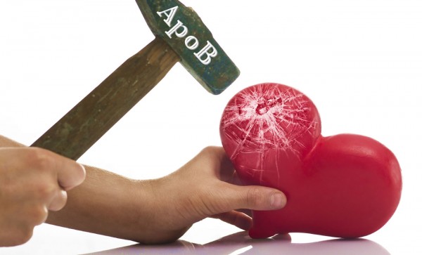 What Is ApoB? | Your Heart and the Apolipoprotein B Test