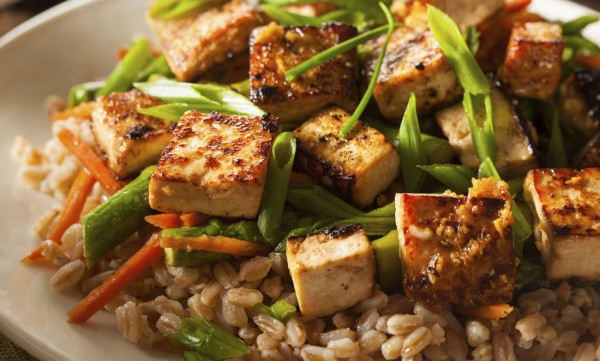 healthy tofu recipes for weight loss questions and answers