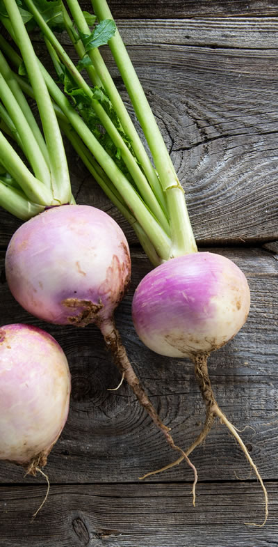 The Health Benefits of Turnips & Pritikin Recipes